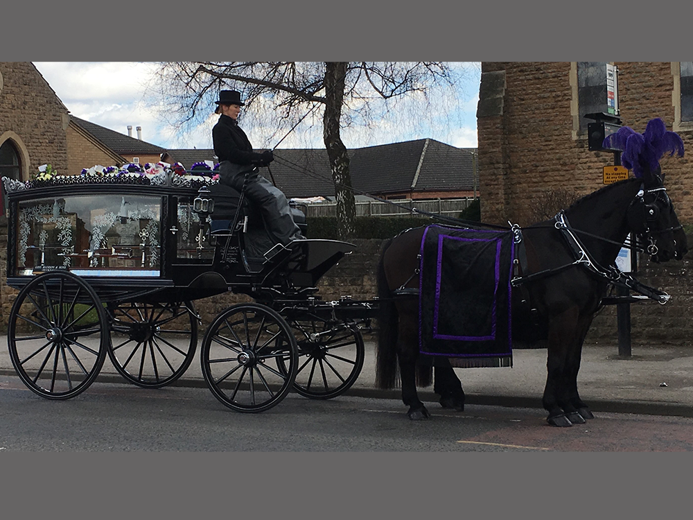 Black Horse Hearse